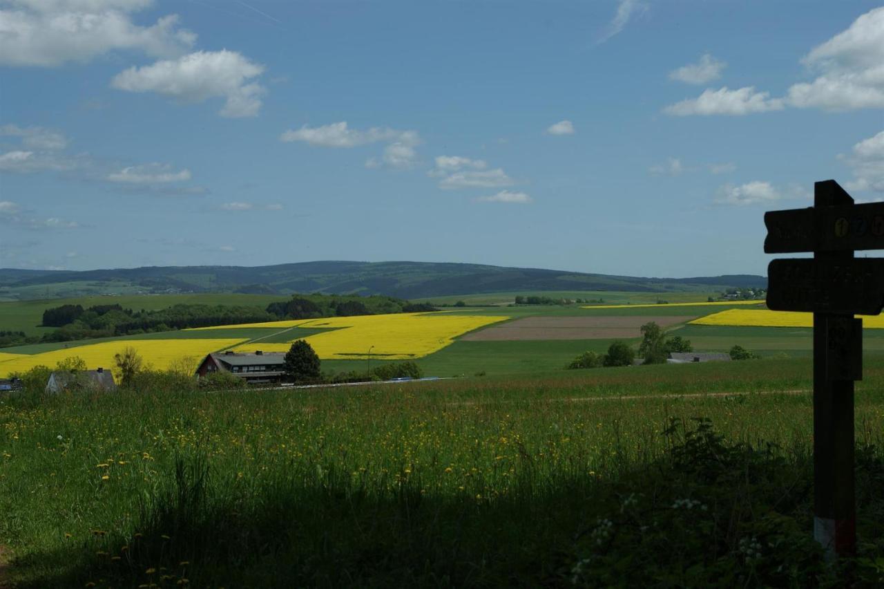 Klein'S Hochwaldscheune Pellingen エクステリア 写真